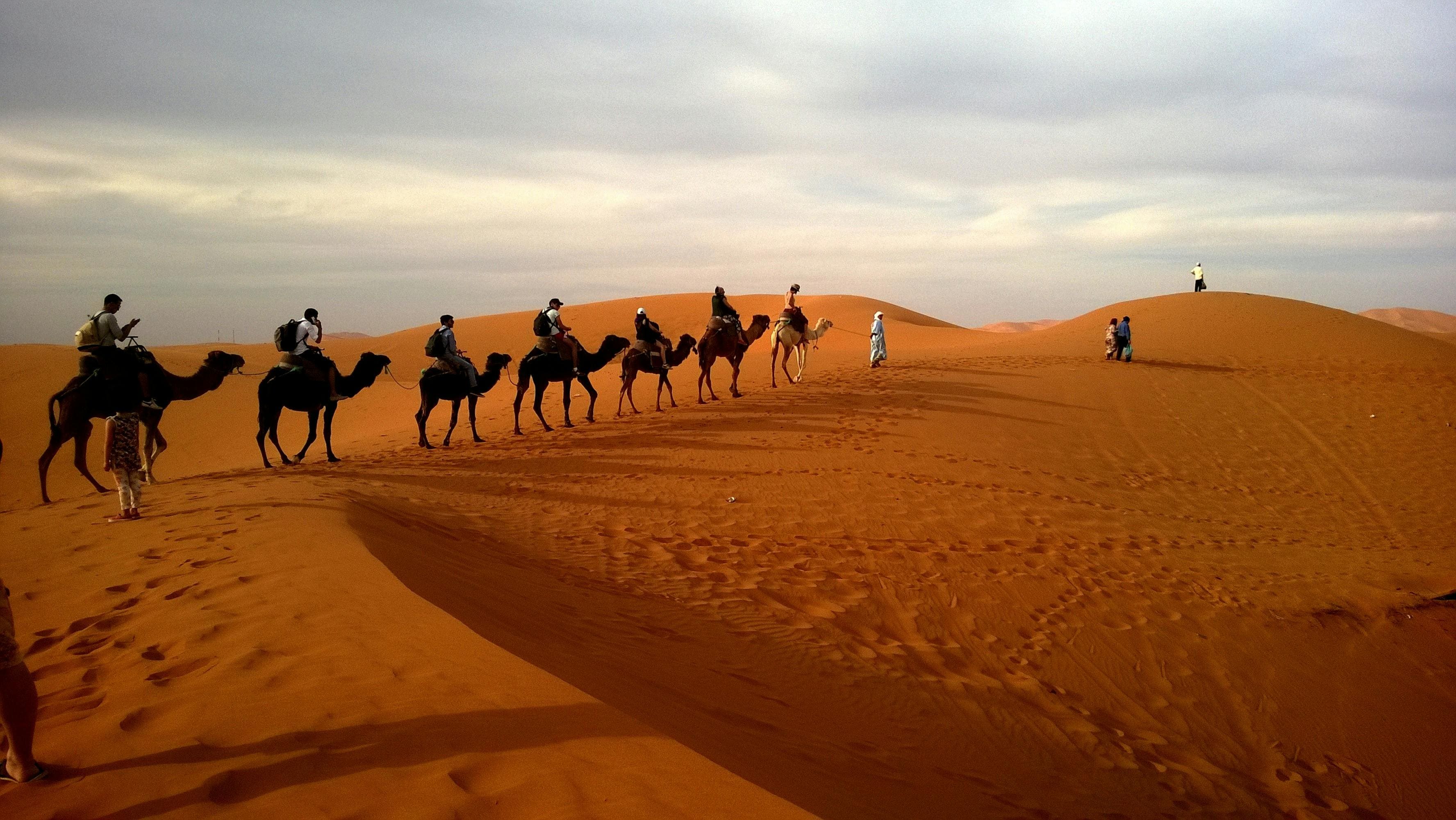 Morocco Magic